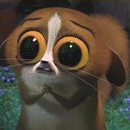 Mort from Madagascar
