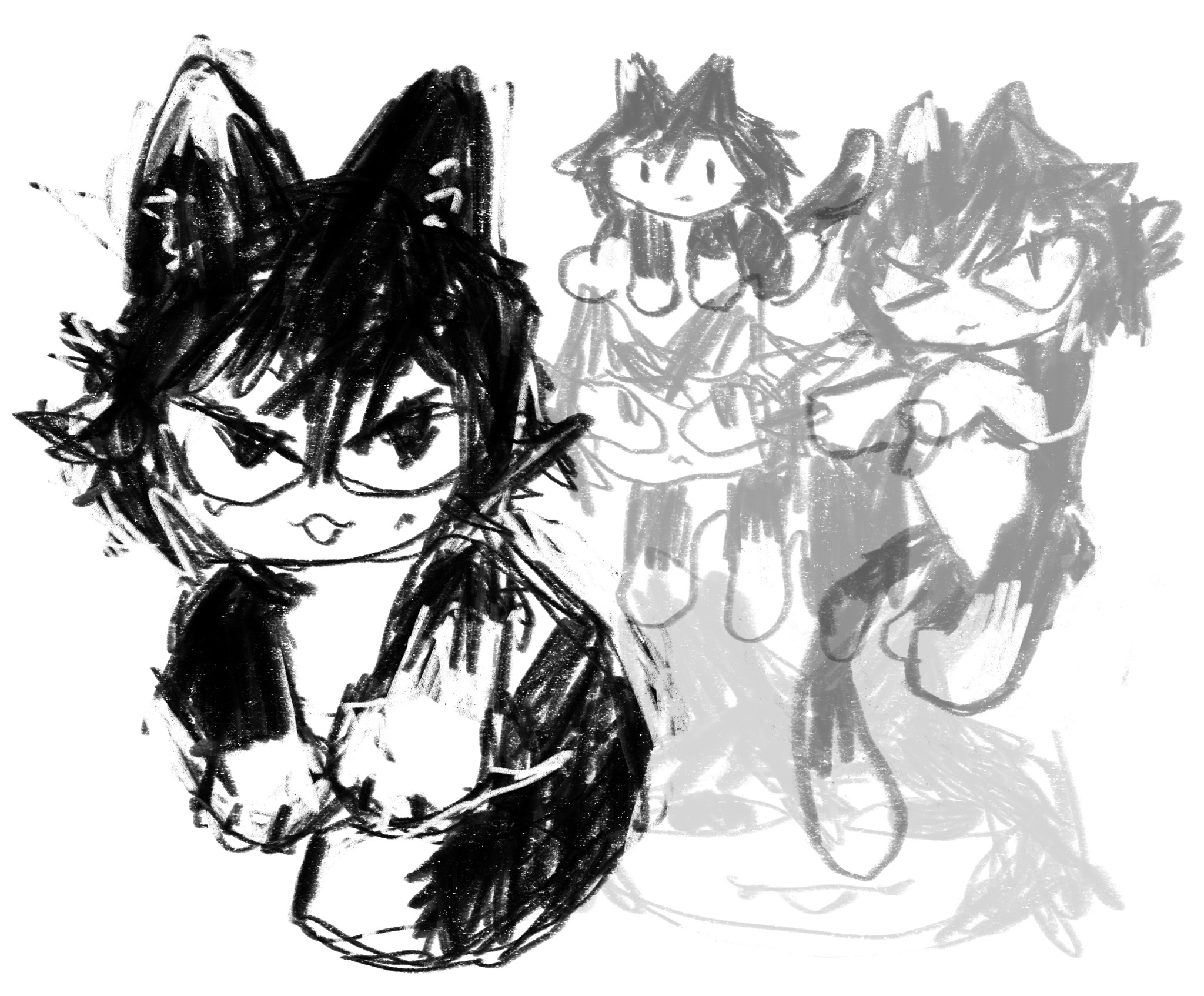 fanart black/white kitty